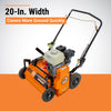 Brave Power Rake Dethatcher 20 in. Width 5.5 HP Honda GX160 Engine BRPPD20H New