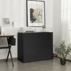 Black 2-drawer lateral file cabinet with adjustable bars, ideal for home office storage and organization.