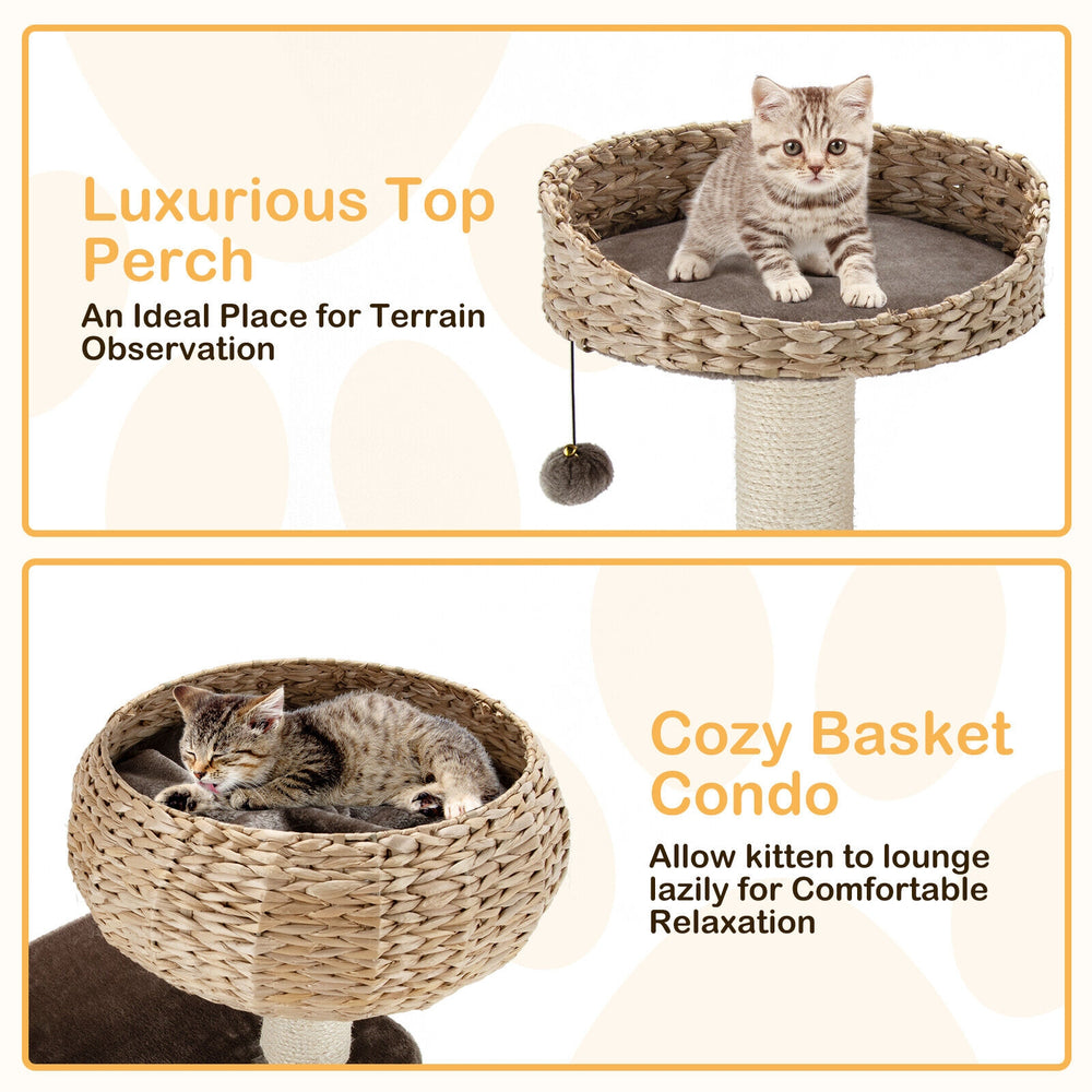 Rattan cat tree with high perch and cozy basket, featuring soft cushions and sisal posts for scratching and play.