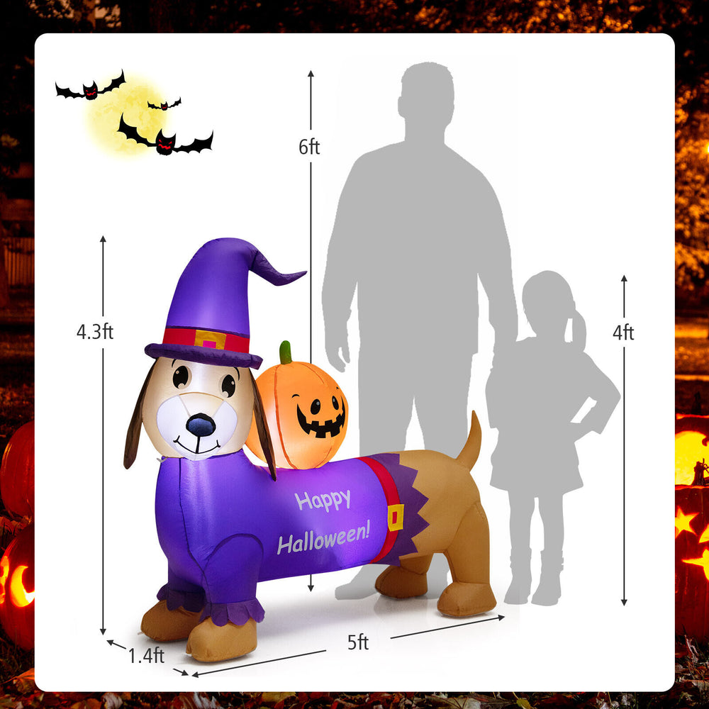 Inflatable 5-foot Halloween dachshund dog with pumpkin, glowing LED lights, perfect for festive outdoor decoration.