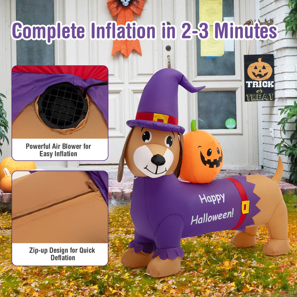 5-foot Halloween inflatable dachshund dog with pumpkin, featuring LED lights and waterproof fabric for outdoor.