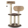 Rattan cat tree with napping perch, sisal posts, and soft cushions for comfortable play and relaxation.