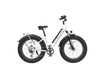 isinwheel M60 All-terrain Electric Bike