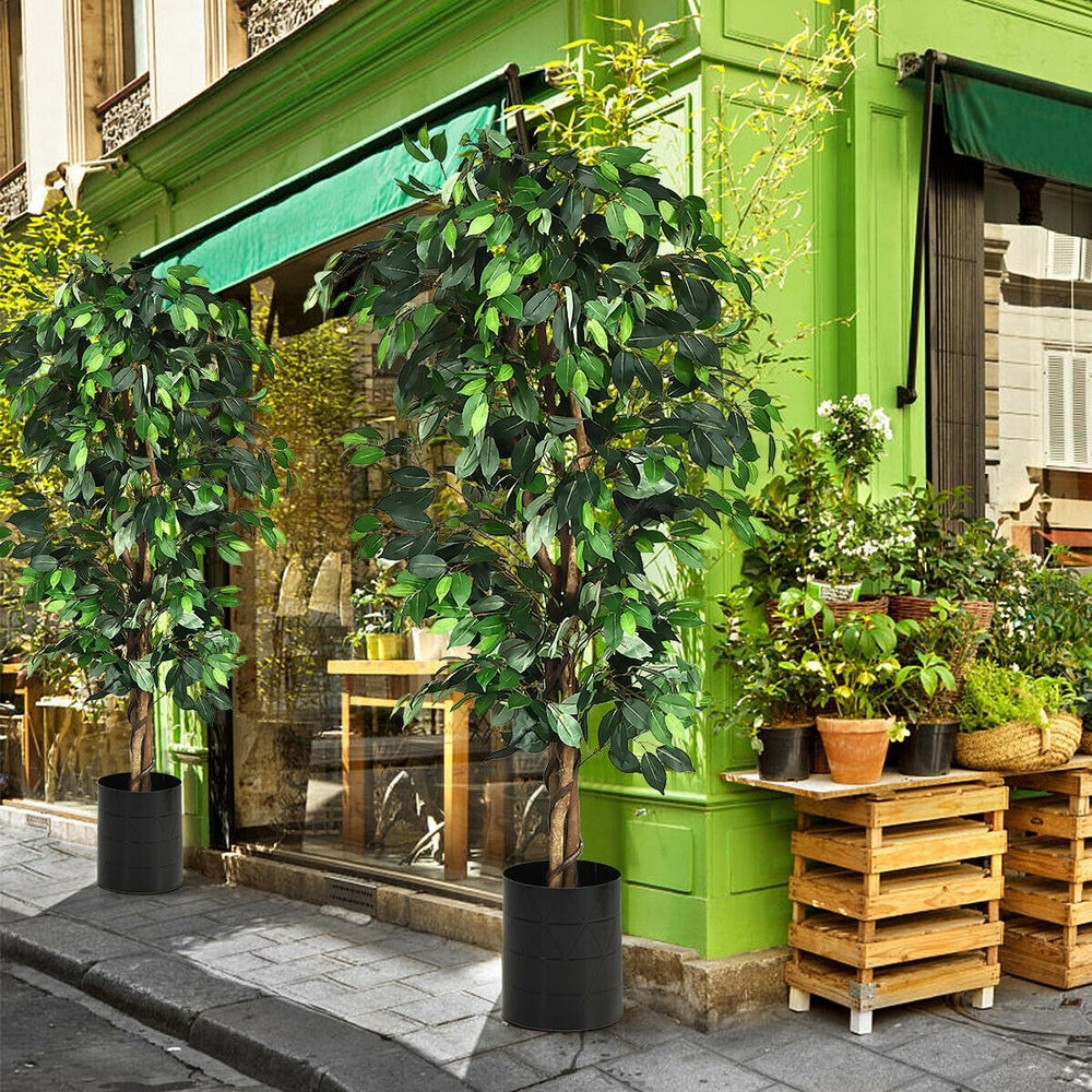 6 feet artificial Ficus silk tree with realistic leaves in a cement base, ideal for home entrance or office decor.
