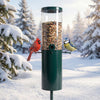 Large squirrel-proof bird feeder with 10 lbs capacity, featuring four perches, in a winter setting with birds.