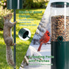 Squirrel-proof bird feeder with 4 feeding ports, 10 lbs capacity, and durable metal construction for all-season use.