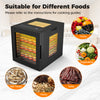 10 stainless steel tray food dryer with digital display, suitable for fruits, vegetables, jerky, and pet treats.