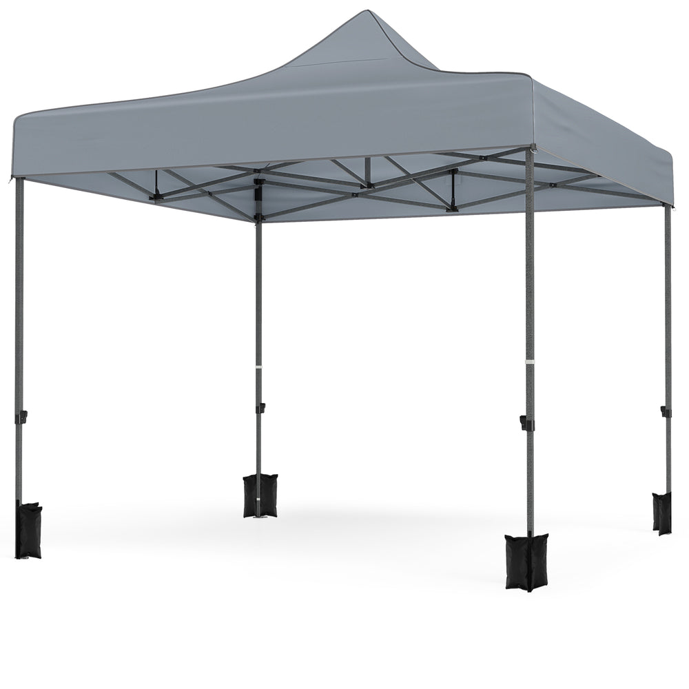 Gray 10 x 10 FT pop-up canopy tent with 4 removable sidewalls, ideal for outdoor events and easy transport.