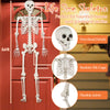 Life-size 5.4 ft Halloween skeleton decoration with realistic bone details and flexible joints, perfect for outdoor.