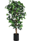 6 Feet Artificial Ficus Silk Tree