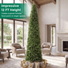 Slim 12 FT artificial Christmas tree with 1818 PVC branch tips, perfect for creating a grand holiday focal point.