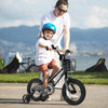 12-inch kids bike with basket and training wheels, featuring adjustable seat and dual brake system for ages 3-5.