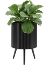 Fluted black metal plant pot with tapered legs, designed for indoor and outdoor use, enhancing plant growth and decor.