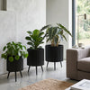 Fluted black metal plant pots with tapered legs, ideal for indoor or outdoor use, enhancing plant growth and decor.