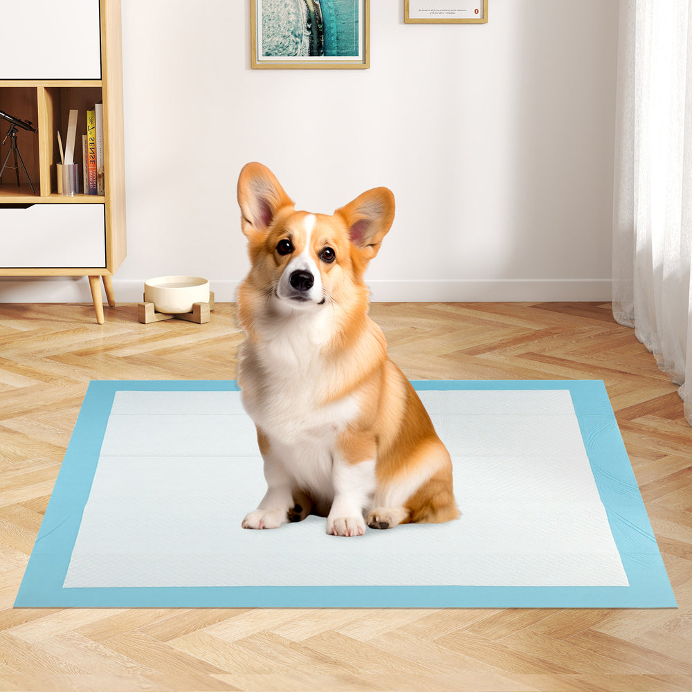 150  Pieces 24 x 36 Inch Pet Wee Pee Piddle Pad-S - Gallery View 1 of 9