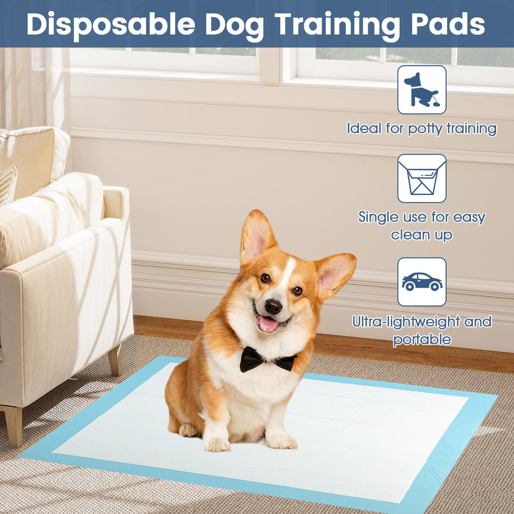 Corgi sitting on a disposable dog training pad, 24 x 36 inches, made of soft non-woven fabric for easy cleanup.