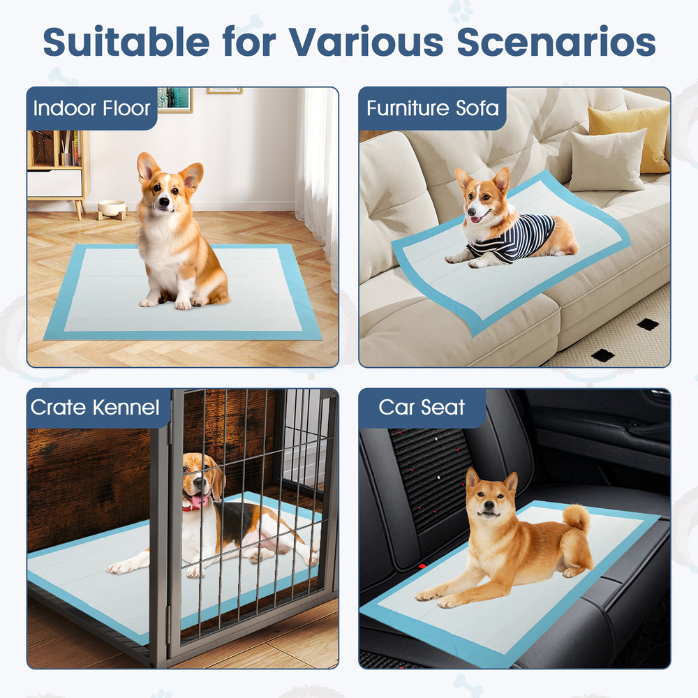 Pet wee pee piddle pads in various scenarios, featuring soft non-woven fabric for indoor and car use.