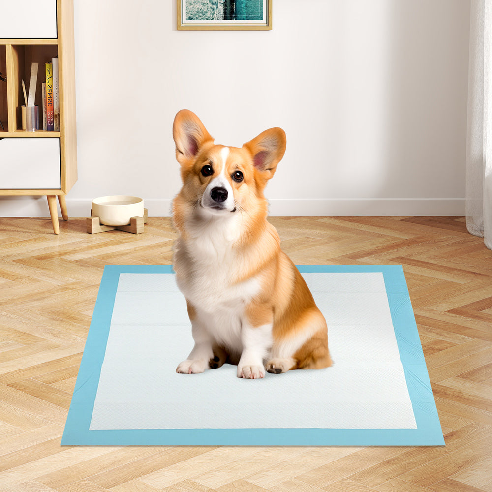 150 pieces 30 x 30 Inch Pet Wee Pee Piddle Pad - Gallery View 1 of 8
