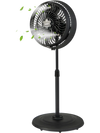 16-inch black oscillating pedestal fan with adjustable height, 3 mist levels, and 90° oscillation for outdoor cooling.