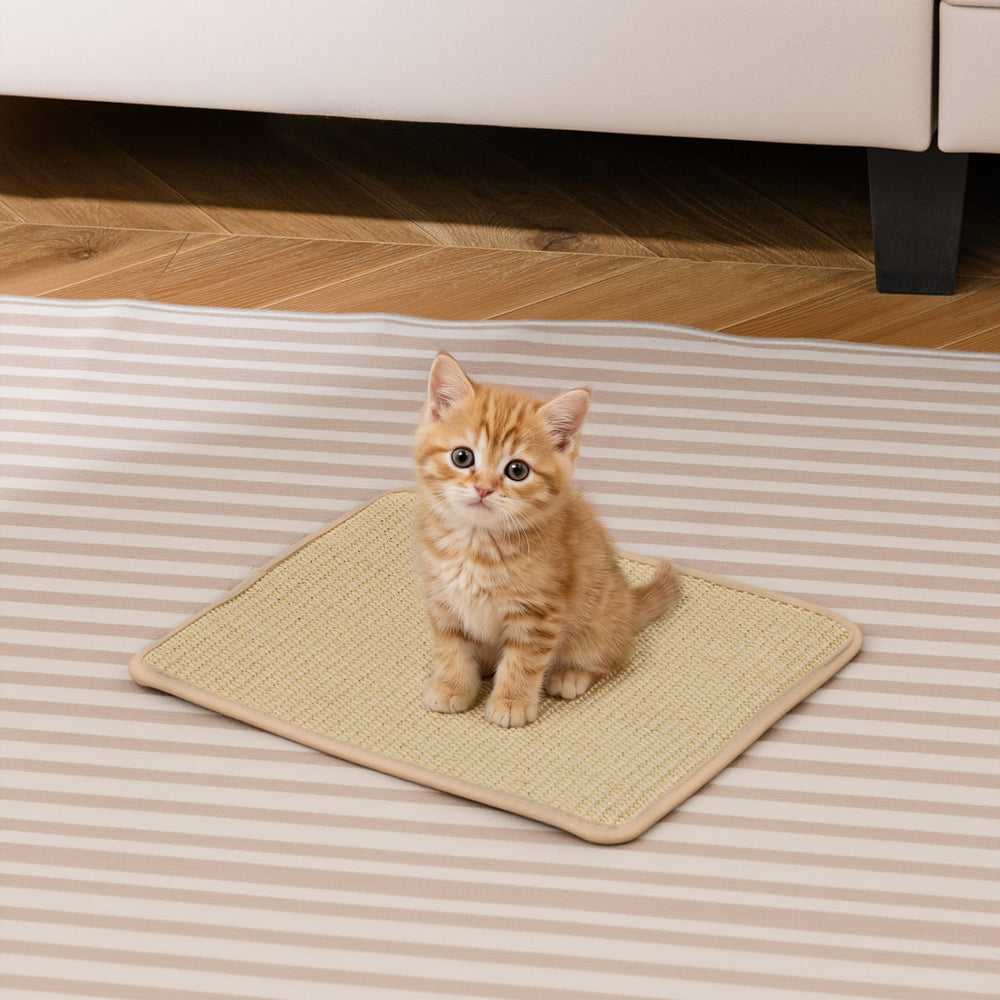 Cat scratcher mat set featuring a 16 x 12 inch sisal surface, ideal for protecting furniture and satisfying scratching.