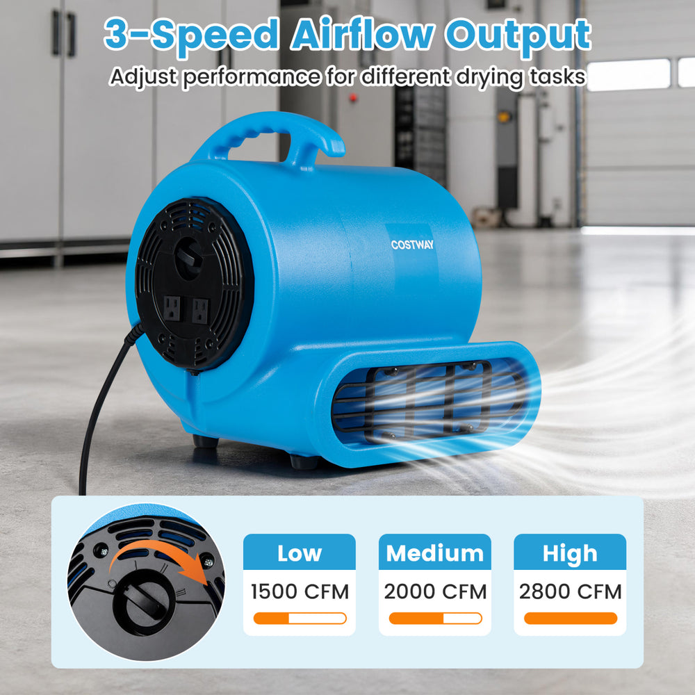 Blue 3-speed air mover with 2800 CFM airflow, adjustable angles, and anti-slip feet for efficient drying tasks.
