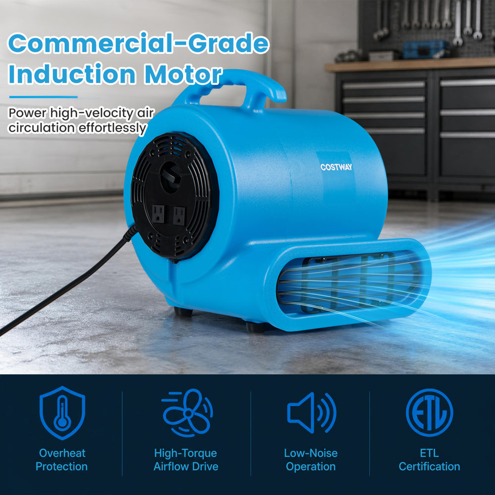 Commercial-grade 3-speed air mover with 2800 CFM airflow, adjustable angles, and durable design for efficient drying.
