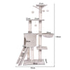 Cat play tree with scratching posts, two platforms, and a cozy hideaway, perfect for climbing and lounging.