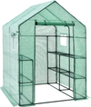 Walk-in greenhouse with observation windows, 56 x 56 x 77 inches, featuring a roll-up door and eight shelves for plants.