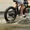 Roma All-Terrain Ebike lifestyle photo