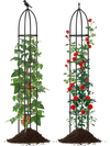 Garden obelisk trellis set for climbing plants, black metal, 69" tall, sturdy support for flowers and vegetables.