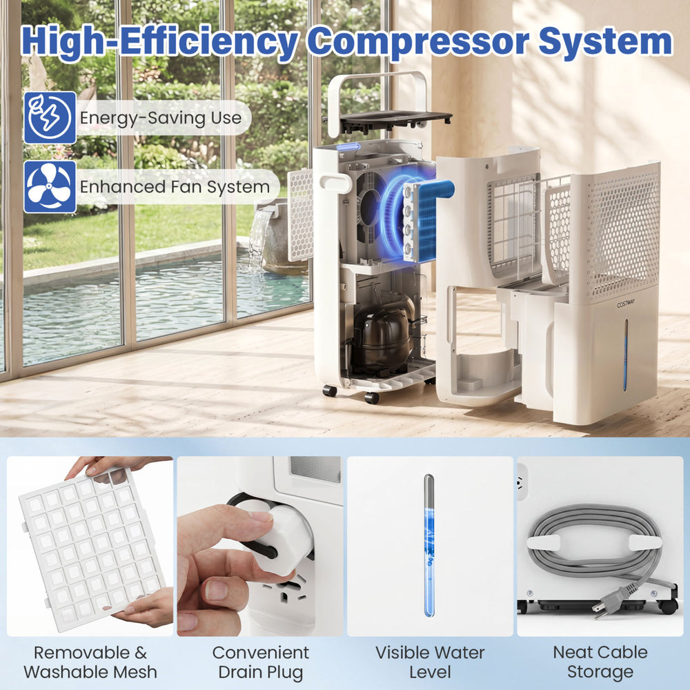 High-efficiency 32-pint compressor dehumidifier with visible water level, convenient drain plug, and smart humidity control.