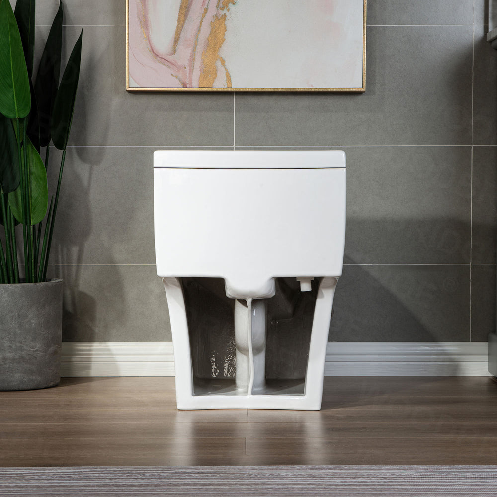 WOODBRIDGE T-0047 Toilet with Advanced Smart Bidet Dual Flush 1.1/1.6 GPF New