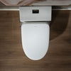 WOODBRIDGE T-0047 Toilet with Advanced Smart Bidet Dual Flush 1.1/1.6 GPF New