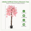 5.5 FT tall artificial cherry blossom tree with delicate pink flowers, showcasing a graceful drooping design for.