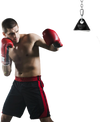 Water punching bag with adjustable metal chain, designed for boxing training, featuring a high-rebound PVC body.