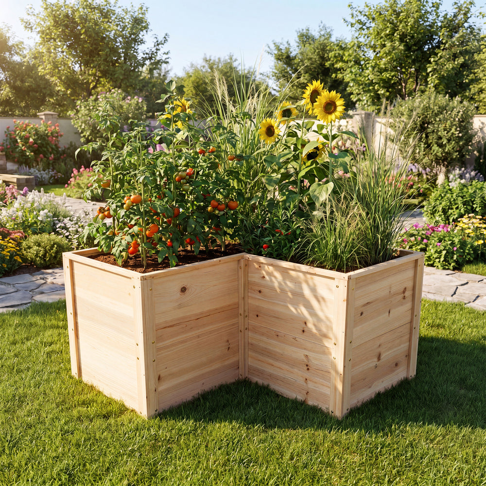 L-shaped 24-inch wooden raised garden bed made of natural fir, ideal for growing various plants in your garden.