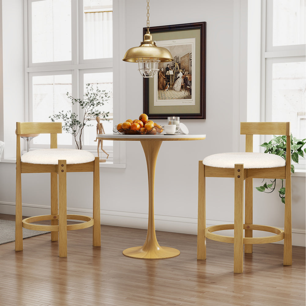 24 Inch Teddy Velvet Upholstered Counter Height Bar Stools with Backrests and Footrests-Set of 2 - Gallery View 1 of 9