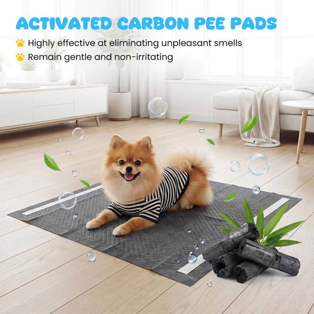 Charcoal dog pee pad with 6-layer construction for effective absorption and leak prevention, suitable for small to.
