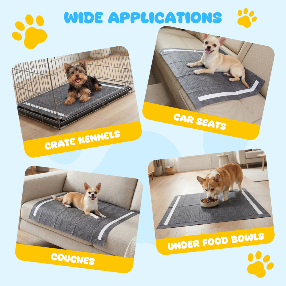 Charcoal dog pee pads in various settings, featuring 6-layer construction for superior absorption and leak prevention.