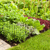 Decorative garden fence set with a rustproof metal frame, ideal for protecting flower beds and plants from pets.