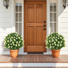 2 Pack Artificial Boxwood Topiary Ball Tree Faux Shrub Bushes with Flowers-White - Gallery View 1 of 10