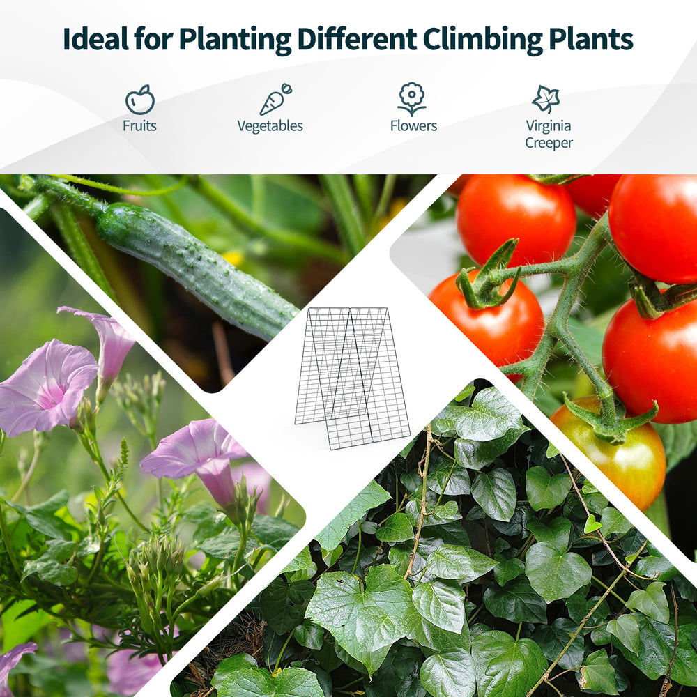 Foldable A-frame trellis supports for climbing plants, made of solid steel, ideal for fruits, vegetables, and flowers.
