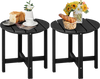 Set of 2 black 18-inch round weather-resistant Adirondack side tables with slatted tops, perfect for outdoor use.