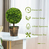 24-inch artificial boxwood topiary ball tree in a cement pot, perfect for indoor and outdoor decoration.