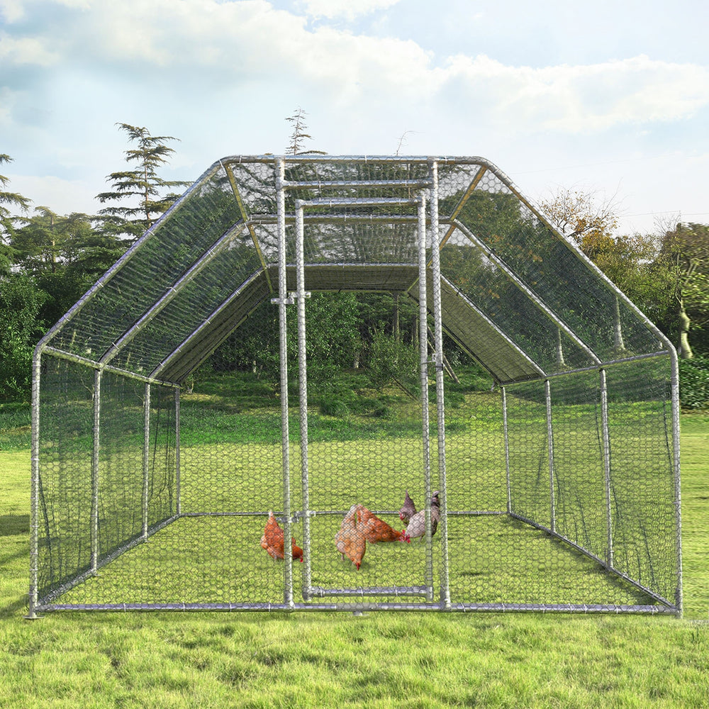 Large walk-in chicken coop with galvanized frame and PVC coated wire mesh, providing secure outdoor space for chickens.