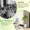 Artificial lemon tree with vibrant leaves and fruits, 2.6 feet tall, perfect for indoor decoration and requires no.