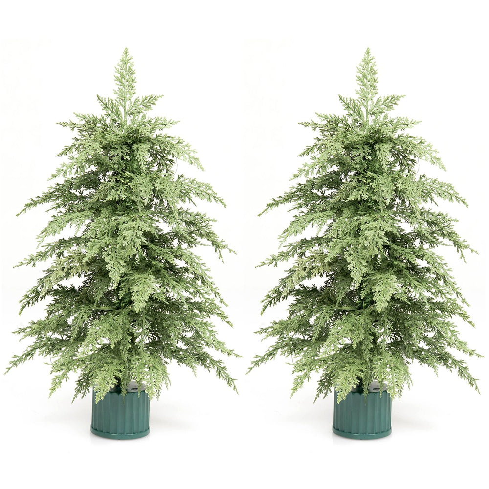 2 Pack 24" Pre-Lit Tabletop Christmas Tree with Rotating Musical Base and PE Branch Tips - Gallery View 1 of 2