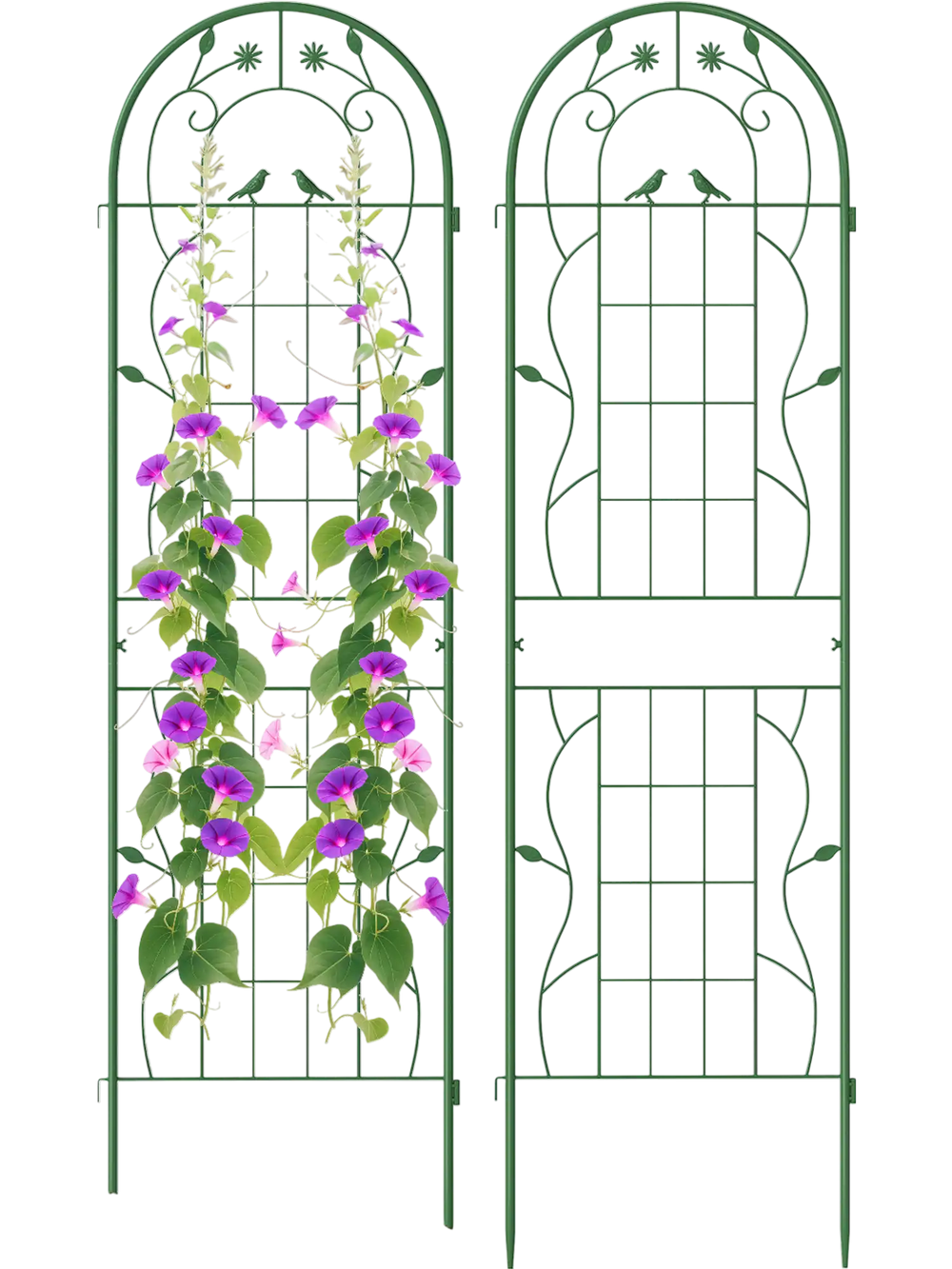 Green metal garden trellis set for climbing plants, 71 x 20 inches, rustproof with decorative flower patterns.