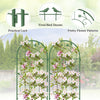 Metal garden trellis set with flower patterns and bird decor, 71 x 20 inches, rustproof support for climbing plants.