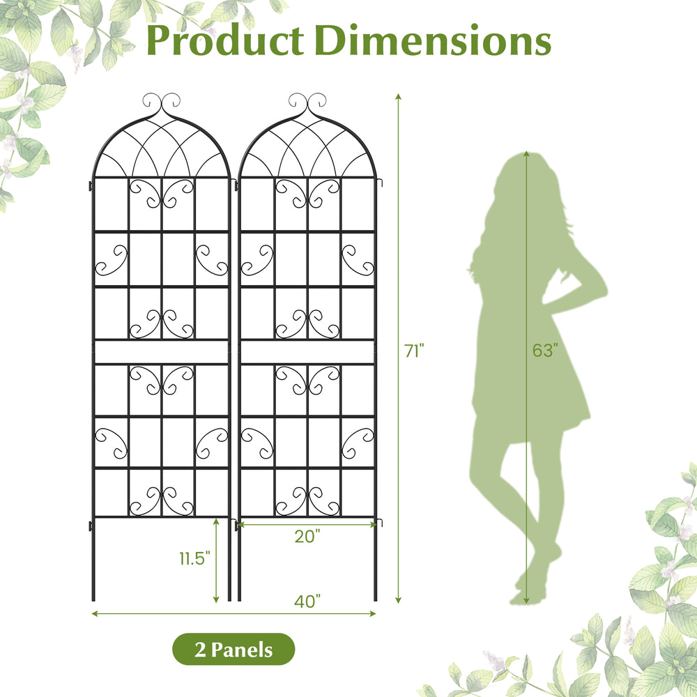 71" x 20" metal garden trellis set for climbing plants, featuring elegant vine design and sturdy rustproof construction.